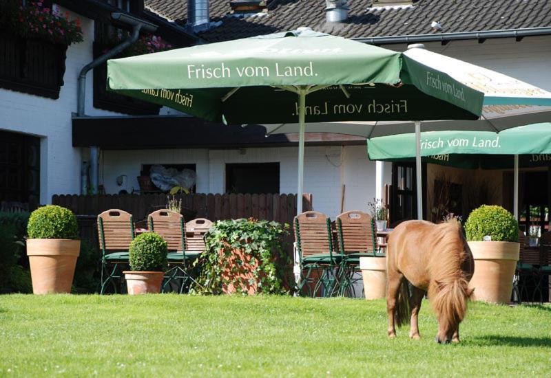 Landhotel Linden Am Venekotensee Нидеркрюхтен Экстерьер фото
